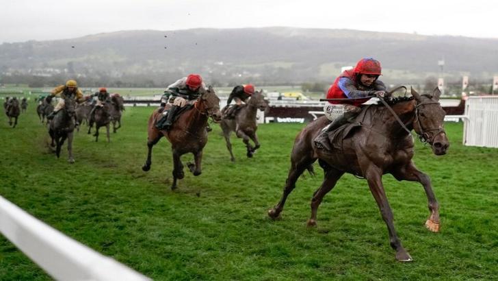Facile Vega at Cheltenham Festival 2022